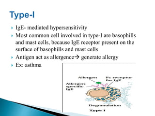  IgE- mediated hypersensitivity
 Most common cell involved in type-I are basophills
and mast cells, because IgE receptor present on the
surface of basophills and mast cells
 Antigen act as allergence generate allergy
 Ex: asthma
 