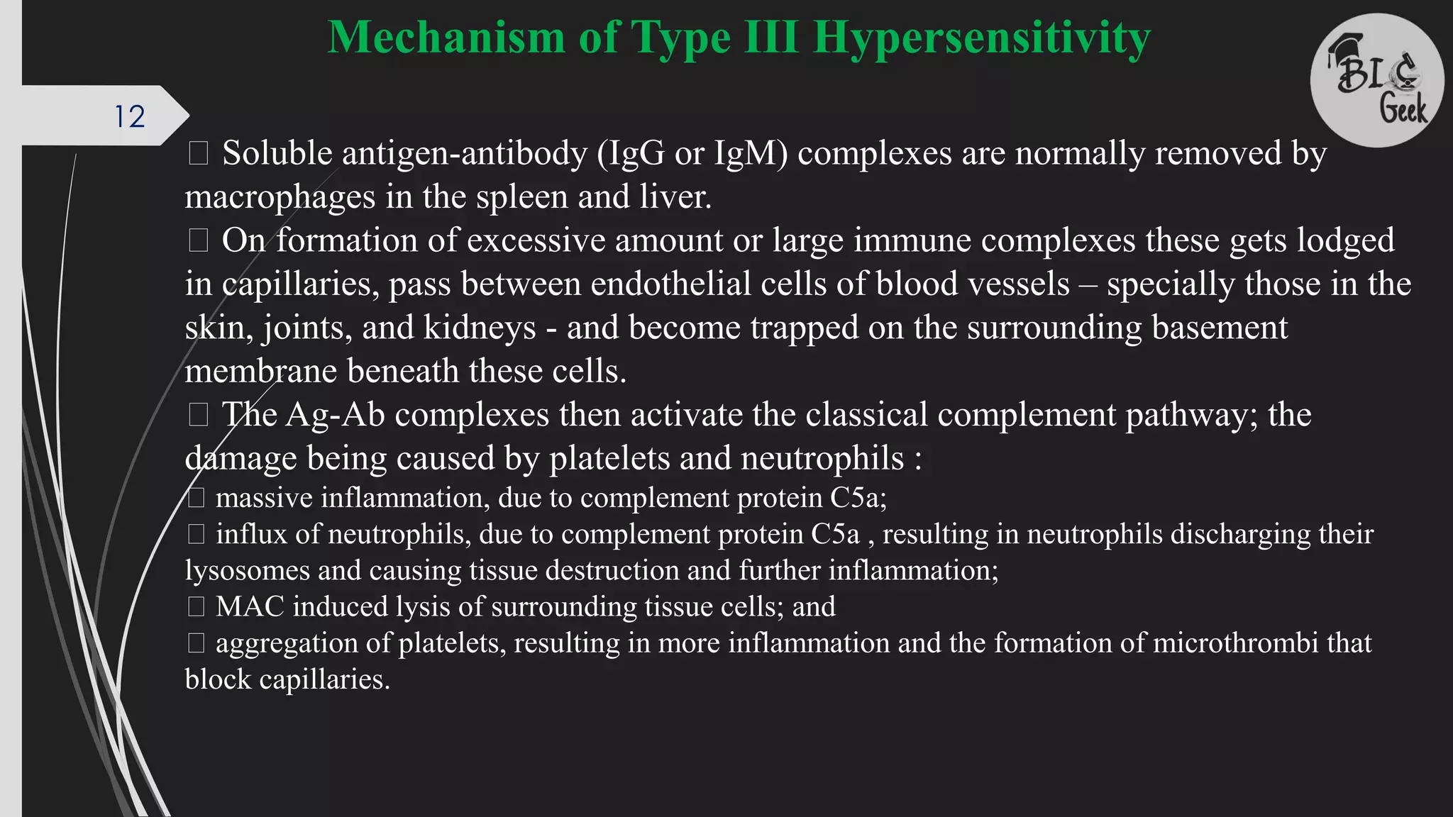 Soluble antigen-antibody (IgG or IgM) complexes are normally removed by
macrophages in the spleen and liver.
On formation of excessive amount or large immune complexes these gets lodged
in capillaries, pass between endothelial cells of blood vessels – specially those in the
skin, joints, and kidneys - and become trapped on the surrounding basement
membrane beneath these cells.
The Ag-Ab complexes then activate the classical complement pathway; the
damage being caused by platelets and neutrophils :
massive inflammation, due to complement protein C5a;
influx of neutrophils, due to complement protein C5a , resulting in neutrophils discharging their
lysosomes and causing tissue destruction and further inflammation;
MAC induced lysis of surrounding tissue cells; and
aggregation of platelets, resulting in more inflammation and the formation of microthrombi that
block capillaries.
Mechanism of Type III Hypersensitivity
12
 