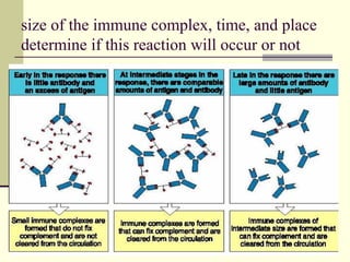 size of the immune complex, time, and place
determine if this reaction will occur or not
 