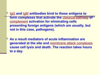 IgG and IgM antibodies bind to these antigens to
form complexes that activate the classical pathway of
complement activation for eliminating cells
presenting foreign antigens (which are usually, but
not in this case, pathogens).
 As a result mediators of acute inflammation are
generated at the site and membrane attack complexes
cause cell lysis and death. The reaction takes hours
to a day.
 