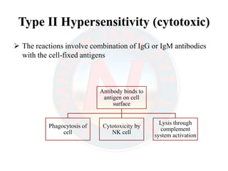 Hypersensitivity (Allergy) - Drug allergy, Contact dermatitis, Allergic ...