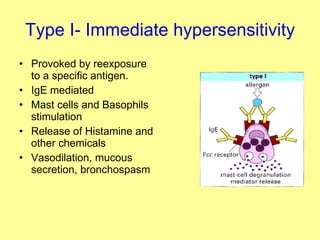 Type I- Immediate hypersensitivity Provoked by reexposure to a specific antigen. IgE mediated Mast cells and Basophils stimulation Release of Histamine and other chemicals Vasodilation, mucous secretion, bronchospasm  