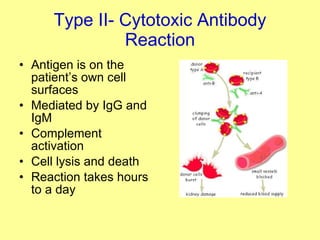 Type II- Cytotoxic Antibody Reaction Antigen is on the patient’s own cell surfaces Mediated by IgG and IgM Complement activation Cell lysis and death Reaction takes hours to a day 