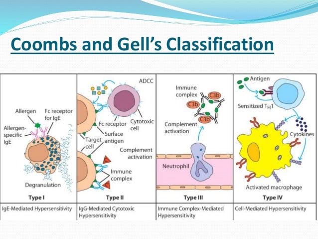 hypersensitivity reaction