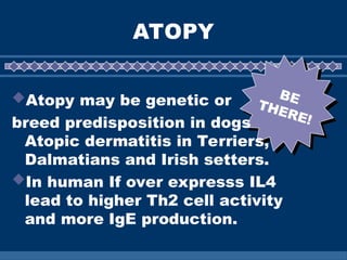 Hypersensitivity Lecture veterinary science | PPT