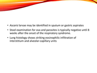 • Ascaris larvae may be identified in sputum or gastric aspirates
• Stool examination for ova and parasites is typically negative until 8
weeks after the onset of the respiratory syndrome.
• Lung histology shows striking eosinophilic infiltration of
interstitium and alveolar-capillary units
 