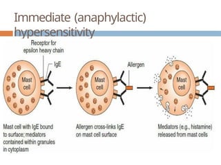 Immediate (anaphylactic)
hypersensitivity
 