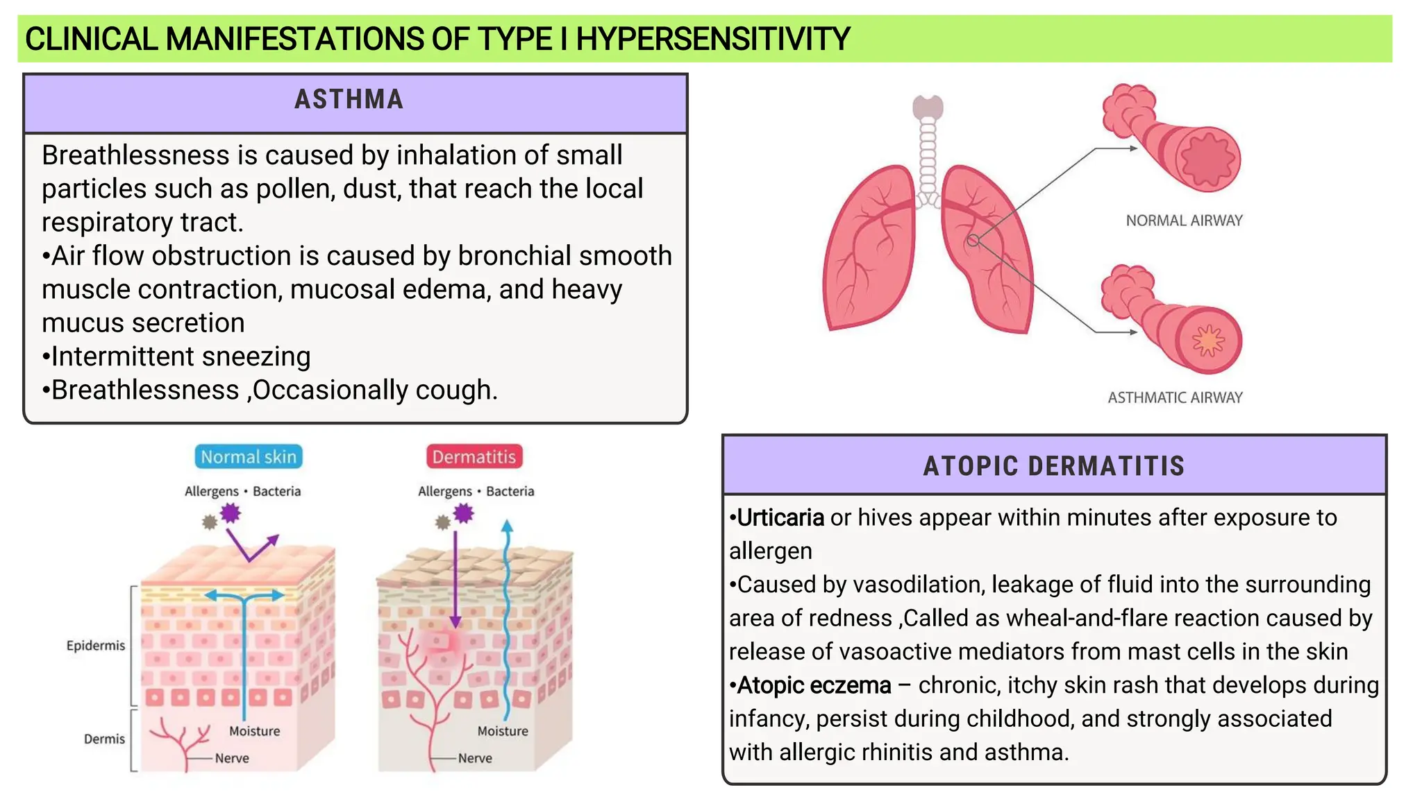 CLINICAL MANIFESTATIONS OF TYPE I HYPERSENSITIVITY
ATOPIC DERMATITIS
•Urticaria or hives appear within minutes after exposure to
allergen
•Caused by vasodilation, leakage of fluid into the surrounding
area of redness ,Called as wheal-and-flare reaction caused by
release of vasoactive mediators from mast cells in the skin
•Atopic eczema – chronic, itchy skin rash that develops during
infancy, persist during childhood, and strongly associated
with allergic rhinitis and asthma.
ASTHMA
Breathlessness is caused by inhalation of small
particles such as pollen, dust, that reach the local
respiratory tract.
•Air flow obstruction is caused by bronchial smooth
muscle contraction, mucosal edema, and heavy
mucus secretion
•Intermittent sneezing
•Breathlessness ,Occasionally cough.
 