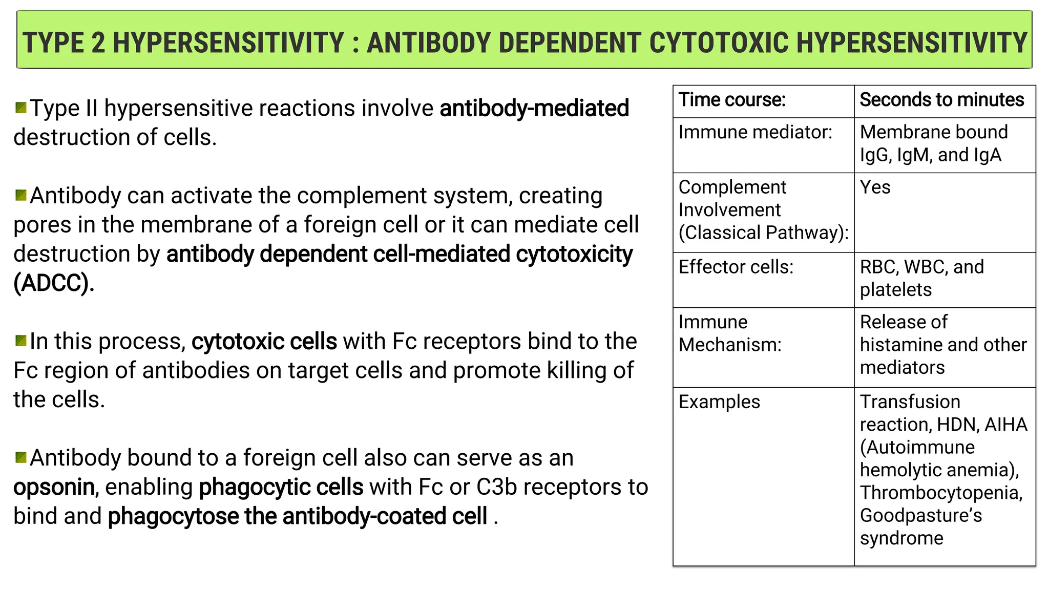 TYPE 2 HYPERSENSITIVITY : ANTIBODY DEPENDENT CYTOTOXIC HYPERSENSITIVITY
Type II hypersensitive reactions involve antibody-mediated
destruction of cells.
Antibody can activate the complement system, creating
pores in the membrane of a foreign cell or it can mediate cell
destruction by antibody dependent cell-mediated cytotoxicity
(ADCC).
In this process, cytotoxic cells with Fc receptors bind to the
Fc region of antibodies on target cells and promote killing of
the cells.
Antibody bound to a foreign cell also can serve as an
opsonin, enabling phagocytic cells with Fc or C3b receptors to
bind and phagocytose the antibody-coated cell .
Time course: Seconds to minutes
Immune mediator: Membrane bound
IgG, IgM, and IgA
Complement
Involvement
(Classical Pathway):
Yes
Effector cells: RBC, WBC, and
platelets
Immune
Mechanism:
Release of
histamine and other
mediators
Examples Transfusion
reaction, HDN, AIHA
(Autoimmune
hemolytic anemia),
Thrombocytopenia,
Goodpasture’s
syndrome
 