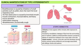 CLINICAL MANIFESTATIONS OF TYPE I HYPERSENSITIVITY
ATOPIC DERMATITIS
•Urticaria or hives appear within minutes after exposure to
allergen
•Caused by vasodilation, leakage of fluid into the surrounding
area of redness ,Called as wheal-and-flare reaction caused by
release of vasoactive mediators from mast cells in the skin
•Atopic eczema – chronic, itchy skin rash that develops during
infancy, persist during childhood, and strongly associated
with allergic rhinitis and asthma.
ASTHMA
Breathlessness is caused by inhalation of small
particles such as pollen, dust, that reach the local
respiratory tract.
•Air flow obstruction is caused by bronchial smooth
muscle contraction, mucosal edema, and heavy
mucus secretion
•Intermittent sneezing
•Breathlessness ,Occasionally cough.
 