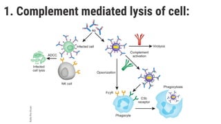 1. Complement mediated lysis of cell:
 