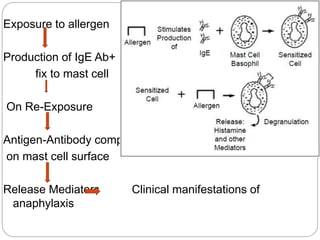 Exposure to allergen
Production of IgE Ab+
fix to mast cell
On Re-Exposure
Antigen-Antibody complex
on mast cell surface
Release Mediators Clinical manifestations of
anaphylaxis
 