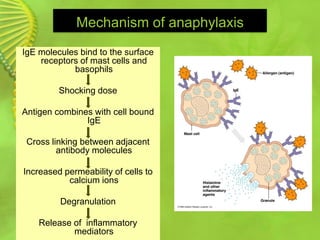 Mechanism of anaphylaxis
IgE molecules bind to the surface
receptors of mast cells and
basophils
Shocking dose
Antigen combines with cell bound
IgE
Cross linking between adjacent
antibody molecules
Increased permeability of cells to
calcium ions
Degranulation
Release of inflammatory
mediators
 
