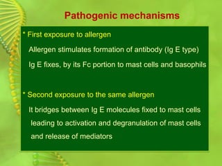 Pathogenic mechanisms
* First exposure to allergen
Allergen stimulates formation of antibody (Ig E type)
Ig E fixes, by its Fc portion to mast cells and basophils
* Second exposure to the same allergen
It bridges between Ig E molecules fixed to mast cells
leading to activation and degranulation of mast cells
and release of mediators
 