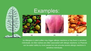 Hay Handling Rash hypersensitivity reactions.pptx