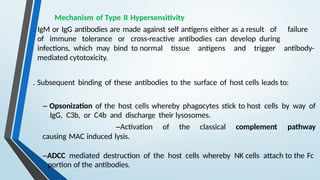 Mechanism of Type II Hypersensitivity
. IgM or IgG antibodies are made against self antigens either as a result of failure
of immune tolerance or cross-reactive antibodies can develop during
infections, which may bind to normal tissue antigens and trigger antibody-
mediated cytotoxicity.
. Subsequent binding of these antibodies to the surface of host cells leads to:
– Opsonization of the host cells whereby phagocytes stick to host cells by way of
IgG, C3b, or C4b and discharge their lysosomes.
–Activation of the classical complement pathway
causing MAC induced lysis.
–ADCC mediated destruction of the host cells whereby NK cells attach to the Fc
portion of the antibodies.
 