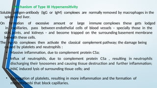 Mechanism of Type III Hypersensitivity
Soluble antigen-antibody (IgG or IgM) complexes are normally removed by macrophages in the
spleen and liver.
On formation of excessive amount or large immune complexes these gets lodged
in capillaries, pass between endothelial cells of blood vessels – specially those in the
skin, joints, and kidneys - and become trapped on the surrounding basement membrane
beneath these cells.
The Ag-Ab complexes then activate the classical complement pathway; the damage being
caused by platelets and neutrophils :
• Massive inflammation, due to complement protein C5a;
• Influx of neutrophils, due to complement protein C5a , resulting in neutrophils
discharging their lysosomes and causing tissue destruction and further inflammation;
• MAC induced lysis of surrounding tissue cells; and
• Aggregation of platelets, resulting in more inflammation and the formation of
microthrombi that block capillaries.
 