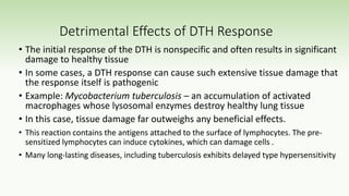 Detrimental Effects of DTH Response
• The initial response of the DTH is nonspecific and often results in significant
damage to healthy tissue
• In some cases, a DTH response can cause such extensive tissue damage that
the response itself is pathogenic
• Example: Mycobacterium tuberculosis – an accumulation of activated
macrophages whose lysosomal enzymes destroy healthy lung tissue
• In this case, tissue damage far outweighs any beneficial effects.
• This reaction contains the antigens attached to the surface of lymphocytes. The pre-
sensitized lymphocytes can induce cytokines, which can damage cells .
• Many long-lasting diseases, including tuberculosis exhibits delayed type hypersensitivity
 