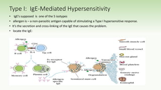 Type I: IgE-Mediated Hypersensitivity
• IgE’s supposed is one of the 5 isotypes
• allergen is – a non-parasitic antigen capable of stimulating a Type I hypersensitive response.
• It’s the secretion and cross-linking of the IgE that causes the problem.
• locate the IgE:
 