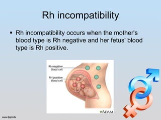 Rh incompatibility
 Rh incompatibility occurs when the mother's
  blood type is Rh negative and her fetus' blood
  type is Rh positive.
 