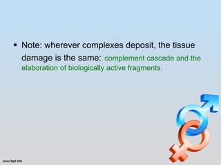  Note: wherever complexes deposit, the tissue
  damage is the same: complement cascade and the
  elaboration of biologically active fragments.
 