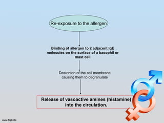 Re-exposure to the allergen




    Binding of allergen to 2 adjacent IgE
  molecules on the surface of a basophil or
                  mast cell



        Destortion of the cell membrane
         causing them to degranulate




Release of vasoactive amines (histamine)
           into the circulation.
 