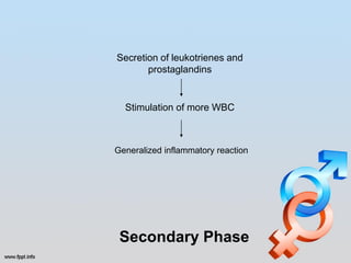 Secretion of leukotrienes and
       prostaglandins


  Stimulation of more WBC



Generalized inflammatory reaction




 Secondary Phase
 
