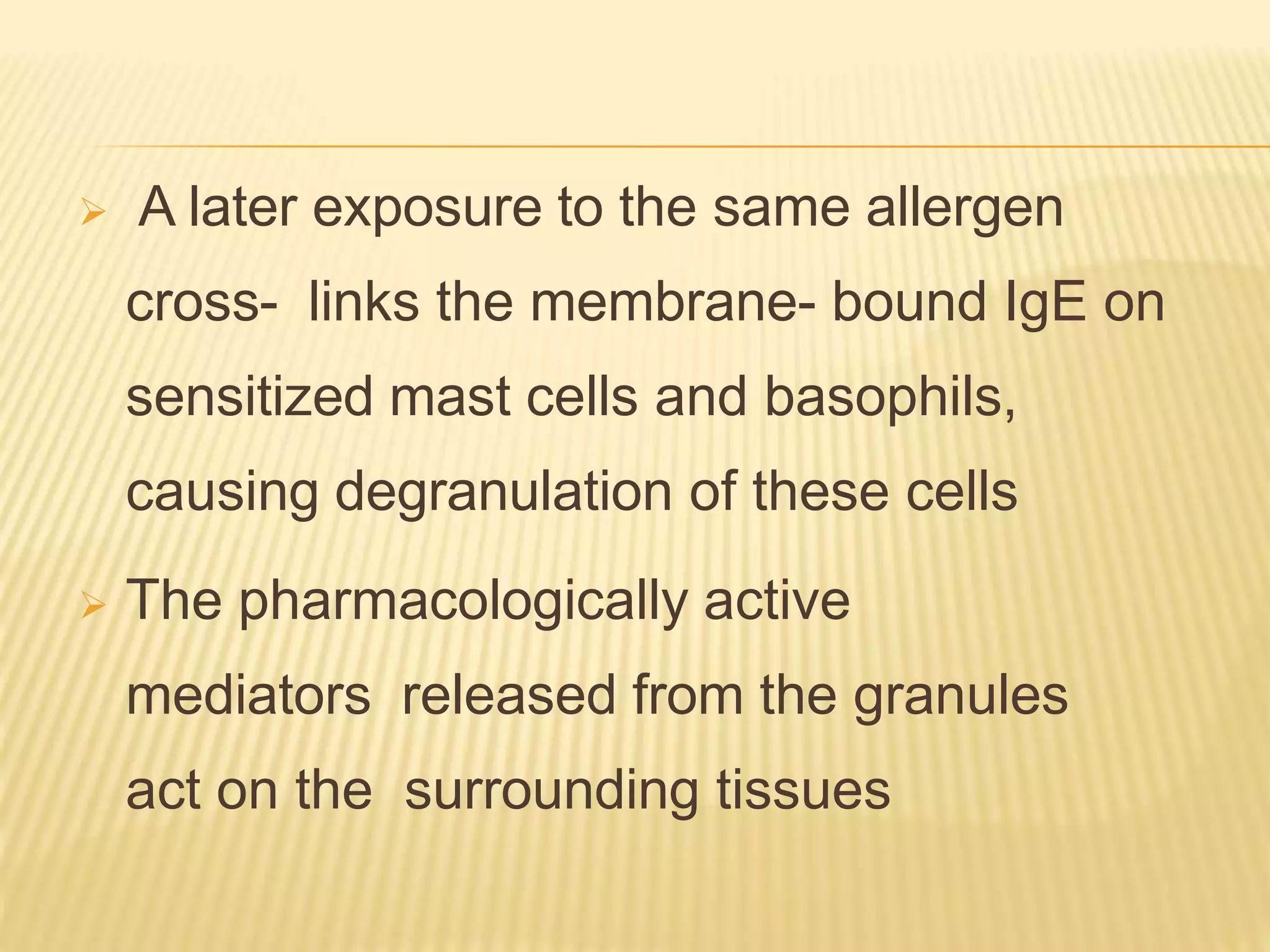  A later exposure to the same allergen
cross- links the membrane- bound IgE on
sensitized mast cells and basophils,
causing degranulation of these cells
 The pharmacologically active
mediators released from the granules
act on the surrounding tissues
 