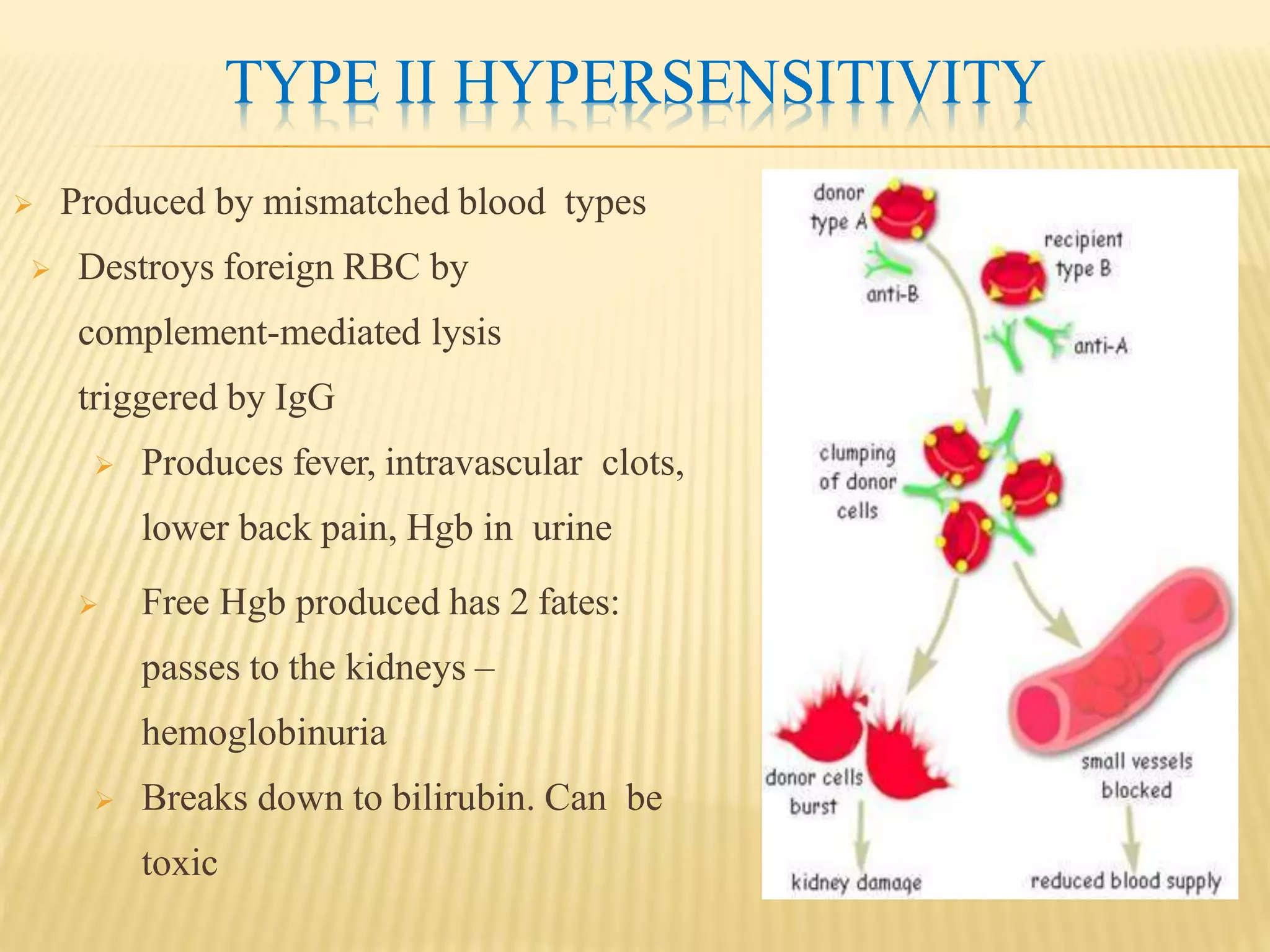 TYPE II HYPERSENSITIVITY
 Produced by mismatched blood types
 Destroys foreign RBC by
complement-mediated lysis
triggered by IgG
 Produces fever, intravascular clots,
lower back pain, Hgb in urine
 Free Hgb produced has 2 fates:
passes to the kidneys –
hemoglobinuria
 Breaks down to bilirubin. Can be
toxic
 