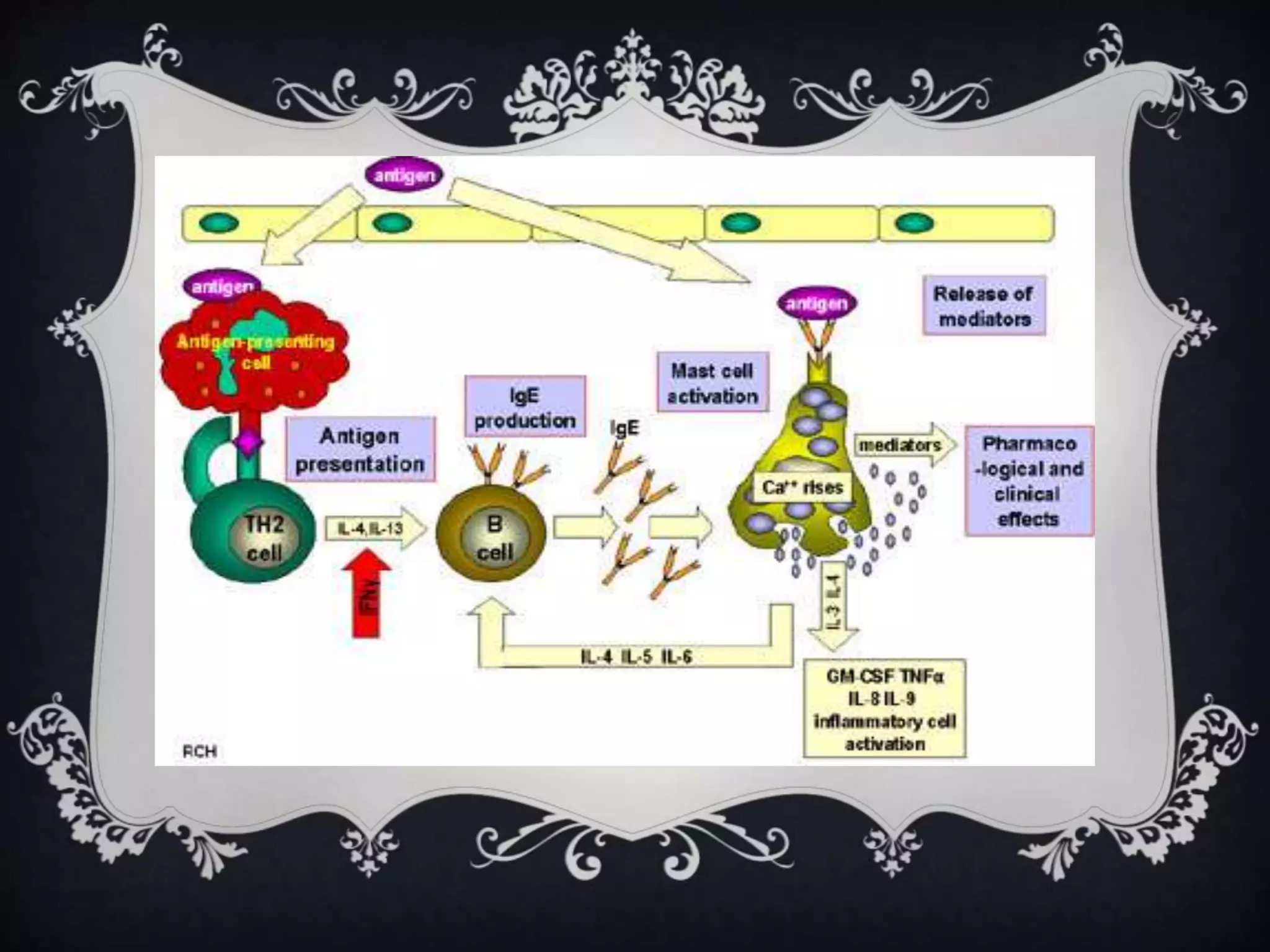 Hypersensitivity reactions of a drug | PPTX