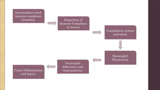 Intermediate-sized
immune complexes
formation Deposition of
Immune Complexes
in tissues
Compliment system
activation
Neutrophil
Chemotaxis
Neutrophil
Adherence and
degranulation
Cause Inflammation
and Injury
 