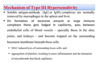 Mechanism of Type III Hypersensitivity
 Soluble antigen-antibody (IgG or IgM) complexes are normally
removed by macrophages in the spleen and liver.
 On formation
complexes these gets lodged in capillaries,
of excessive amount or large
pass
immune
between
endothelial cells of blood vessels – specially those in the skin,
joints, and kidneys - and become trapped on the surrounding
basement membrane beneath these cells.
 MAC induced lysis of surrounding tissue cells; and
 aggregation of platelets, resulting in more inflammation and the formation
of microthrombi that block capillaries.
 