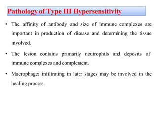 Pathology of Type III Hypersensitivity
• The affinity of antibody and size of immune complexes are
important in production of disease and determining the tissue
involved.
• The lesion contains primarily neutrophils and deposits of
immune complexes and complement.
• Macrophages infiltrating in later stages may be involved in the
healing process.
 