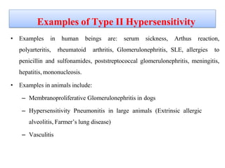 Examples of Type II Hypersensitivity
• Examples in human beings are: serum sickness, Arthus reaction,
polyarteritis, rheumatoid arthritis, Glomerulonephritis, SLE, allergies to
penicillin and sulfonamides, poststreptococcal glomerulonephritis, meningitis,
hepatitis, mononucleosis.
• Examples in animals include:
– Membranoproliferative Glomerulonephritis in dogs
– Hypersensitivity Pneumonitis in large animals (Extrinsic allergic
alveolitis, Farmer’s lung disease)
– Vasculitis
 