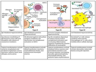 Hypersensitivity Update .pdf Immunology and Micro