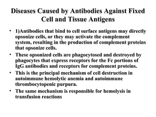 Diseases Caused by Antibodies Against Fixed
Cell and Tissue Antigens
• 1)Antibodies that bind to cell surface antigens may directly
opsonize cells, or they may activate the complement
system, resulting in the production of complement proteins
that opsonize cells.
• These opsonized cells are phagocytosed and destroyed by
phagocytes that express receptors for the Fc portions of
IgG antibodies and receptors for complement proteins.
• This is the principal mechanism of cell destruction in
autoimmune hemolytic anemia and autoimmune
thrombocytopenic purpura.
• The same mechanism is responsible for hemolysis in
transfusion reactions

 