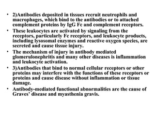 • 2)Antibodies deposited in tissues recruit neutrophils and
macrophages, which bind to the antibodies or to attached
complement proteins by IgG Fc and complement receptors.
• These leukocytes are activated by signaling from the
receptors, particularly Fc receptors, and leukocyte products,
including lysosomal enzymes and reactive oxygen species, are
secreted and cause tissue injury.
• The mechanism of injury in antibody mediated
glomerulonephritis and many other diseases is inflammation
and leukocyte activation.
• 3)Antibodies that bind to normal cellular receptors or other
proteins may interfere with the functions of these receptors or
proteins and cause disease without inflammation or tissue
damage.
• Antibody-mediated functional abnormalities are the cause of
Graves’ disease and myasthenia gravis.

 