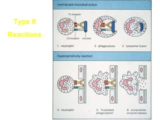 Type II
Reactions

 