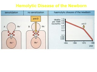 Hemolytic Disease of the Newborn

 