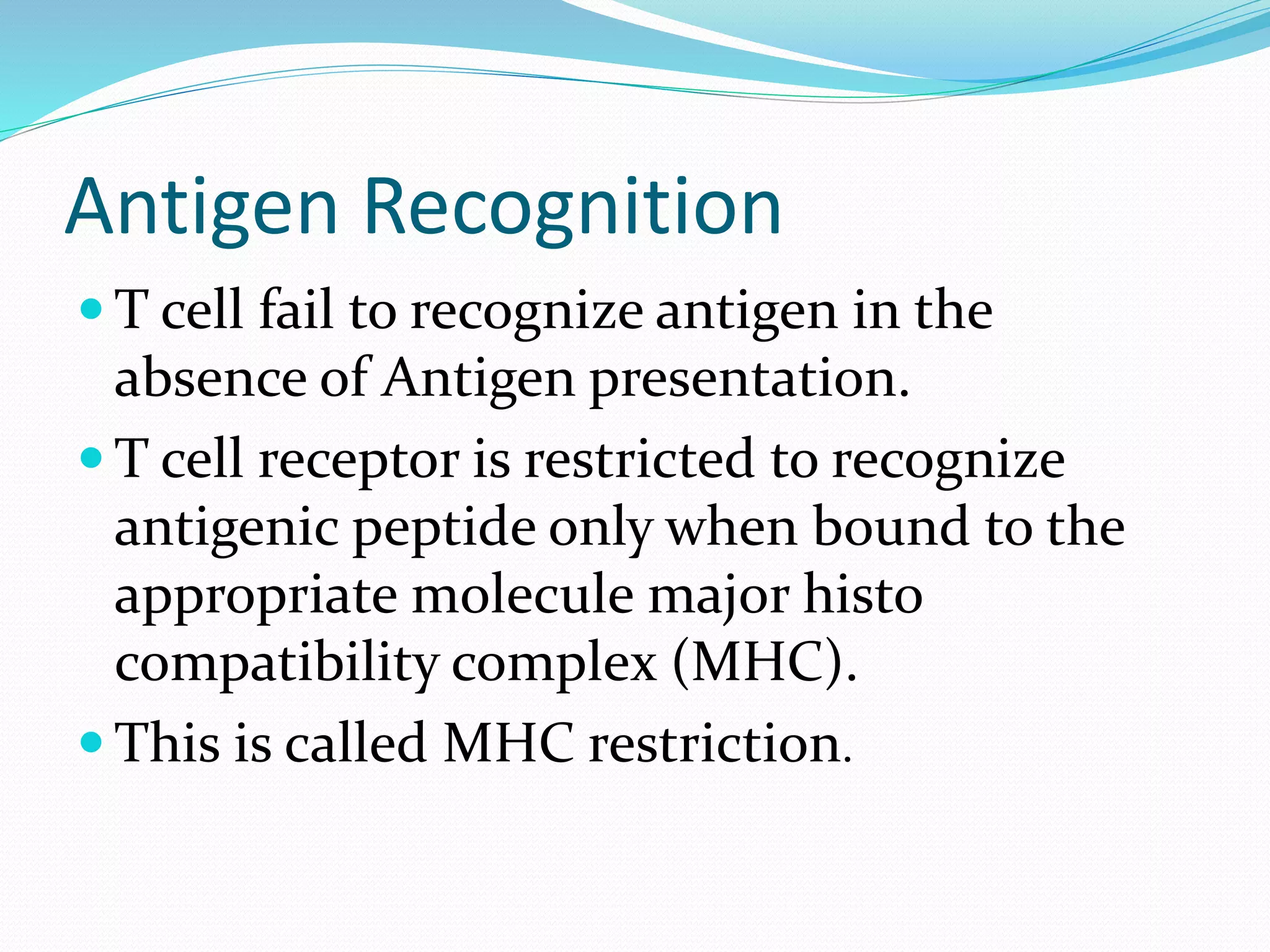Antigen Recognition
 T cell fail to recognize antigen in the
absence of Antigen presentation.
 T cell receptor is restricted to recognize
antigenic peptide only when bound to the
appropriate molecule major histo
compatibility complex (MHC).
 This is called MHC restriction.
 