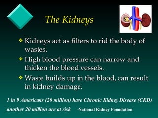 The Kidneys

     y Kidneys act as filters to rid the body of
       wastes.
     y High blood pressure can narrow and
       thicken the blood vessels.
     y Waste builds up in the blood, can result
       in kidney damage.
1 in 9 Americans (20 million) have Chronic Kidney Disease (CKD)
another 20 million are at risk   -National Kidney Foundation
 