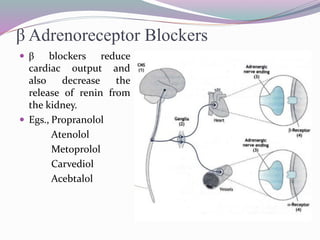 β Adrenoreceptor Blockers
 β blockers reduce
cardiac output and
also decrease the
release of renin from
the kidney.
 Egs., Propranolol
Atenolol
Metoprolol
Carvediol
Acebtalol
 