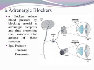 α Adrenergic Blockers
 α Blockers reduce
blood pressure by
blocking arterial α
adrenergic receptors
and thus preventing
the vasoconstrictor
actions of these
receptors.
 Egs., Prazosin
Terazosin
Doxazosin
 