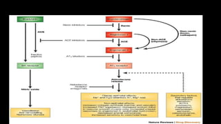 ACTIVITIES OF RENAL SYSTEM
 