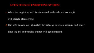 ACTIVITIES OF ENDOCRINE SYSTEM
 When the angiotensin-II is stimulated in the adrenal cortex, it
will secrete aldosterone.
 The aldosterone will stimulate the kidneys to retain sodium and water.
Thus the BP and cardiac output will get increased.
 