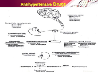 Antihypertensive Drugs
Continue….
AT1 receptor
ARB
 