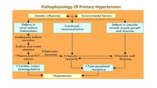 Pathophysiology Of Primary Hypertension
 