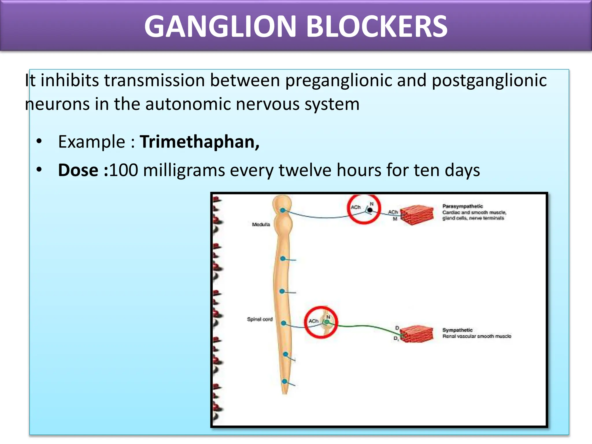 Hypertension and drug used for treatment of hypertension | PPTX