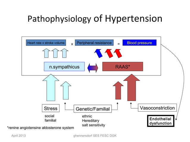 Hypertension 2013 Pathophysiology | PPT | Heart and Cardiovascular ...