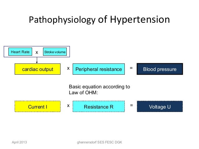 pathophysiology of hypertension